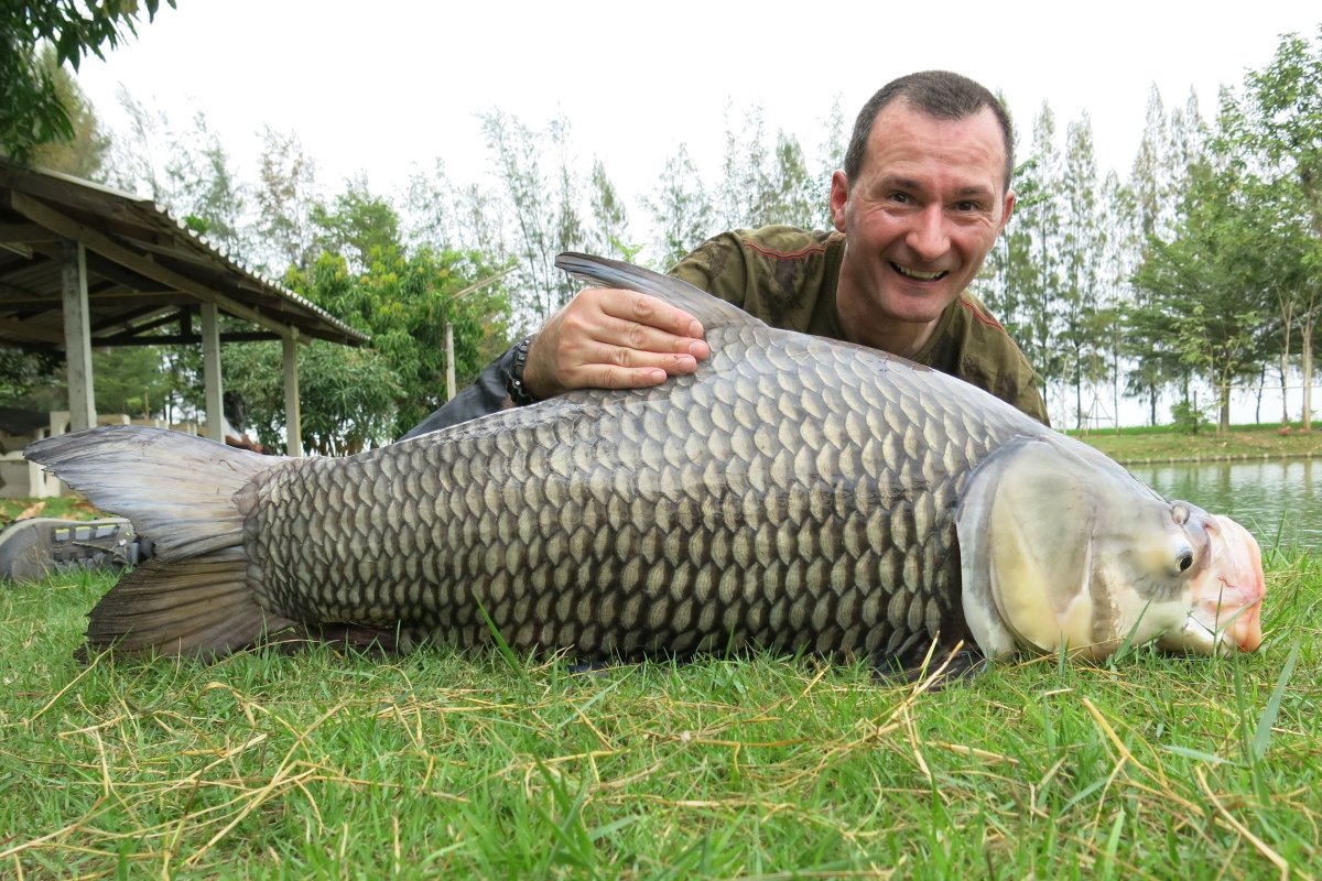 Венгерский Карп