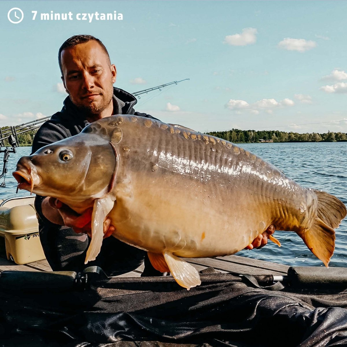 Румынский Карп фото