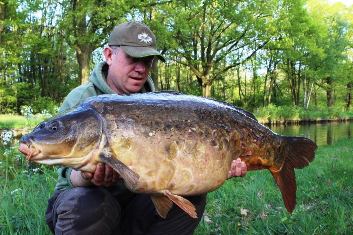Самый большой пойманный Карп