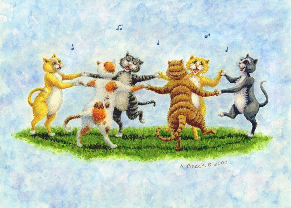 Котенок танцует