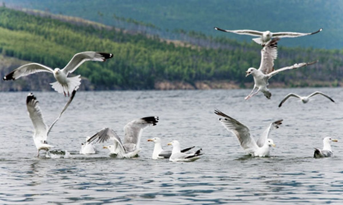 Скала Шаманка на острове Ольхон