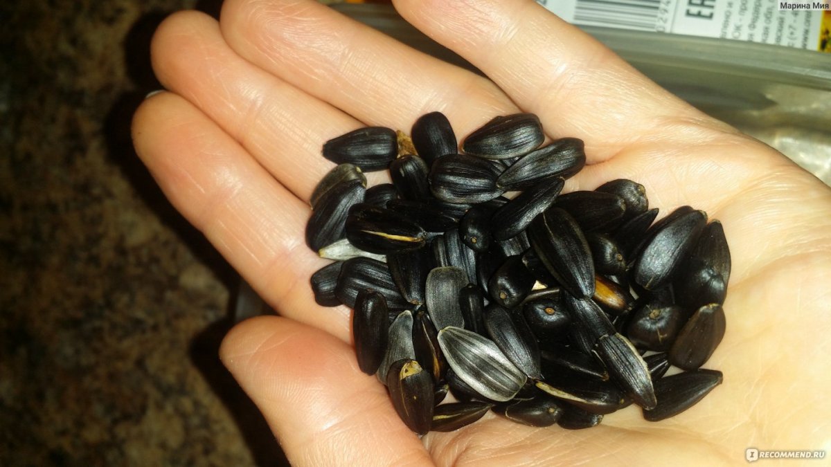 Гнилые семена