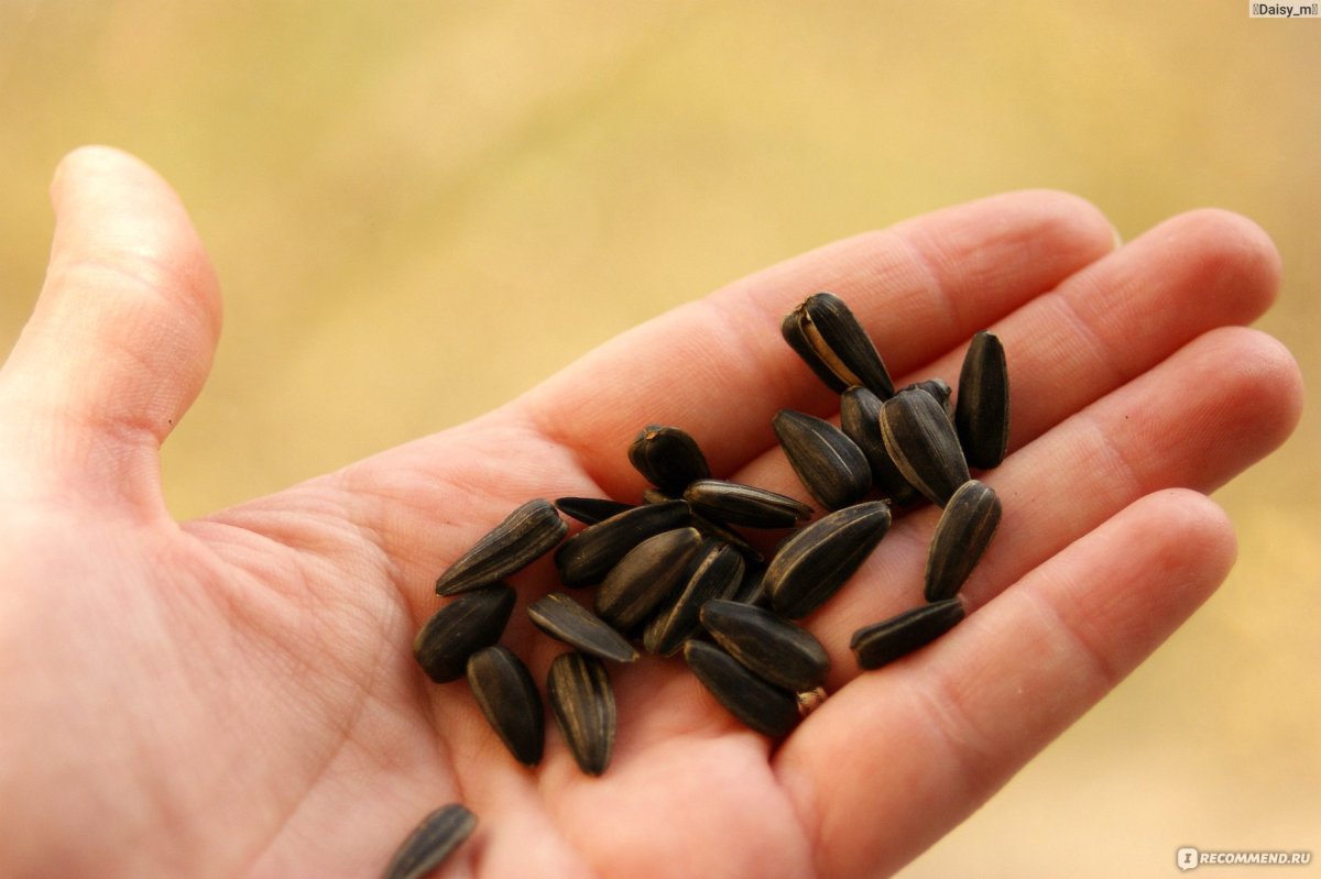 Семечки Ciko черные