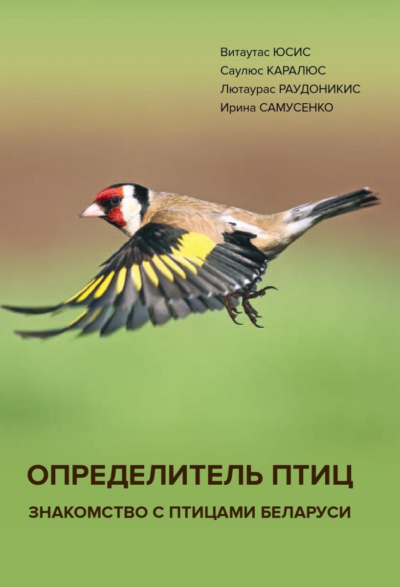 Птицы Подмосковья перелетные и зимующие