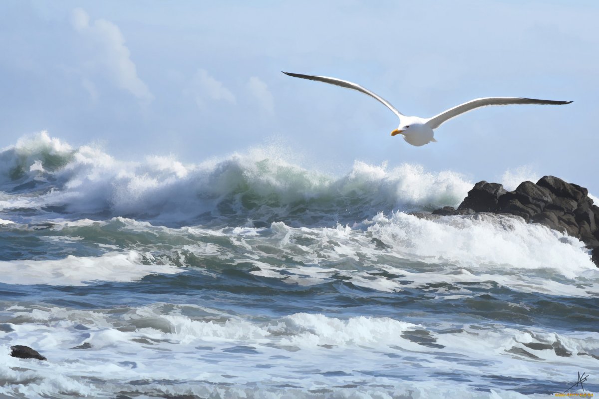 Чайки над морем живопись