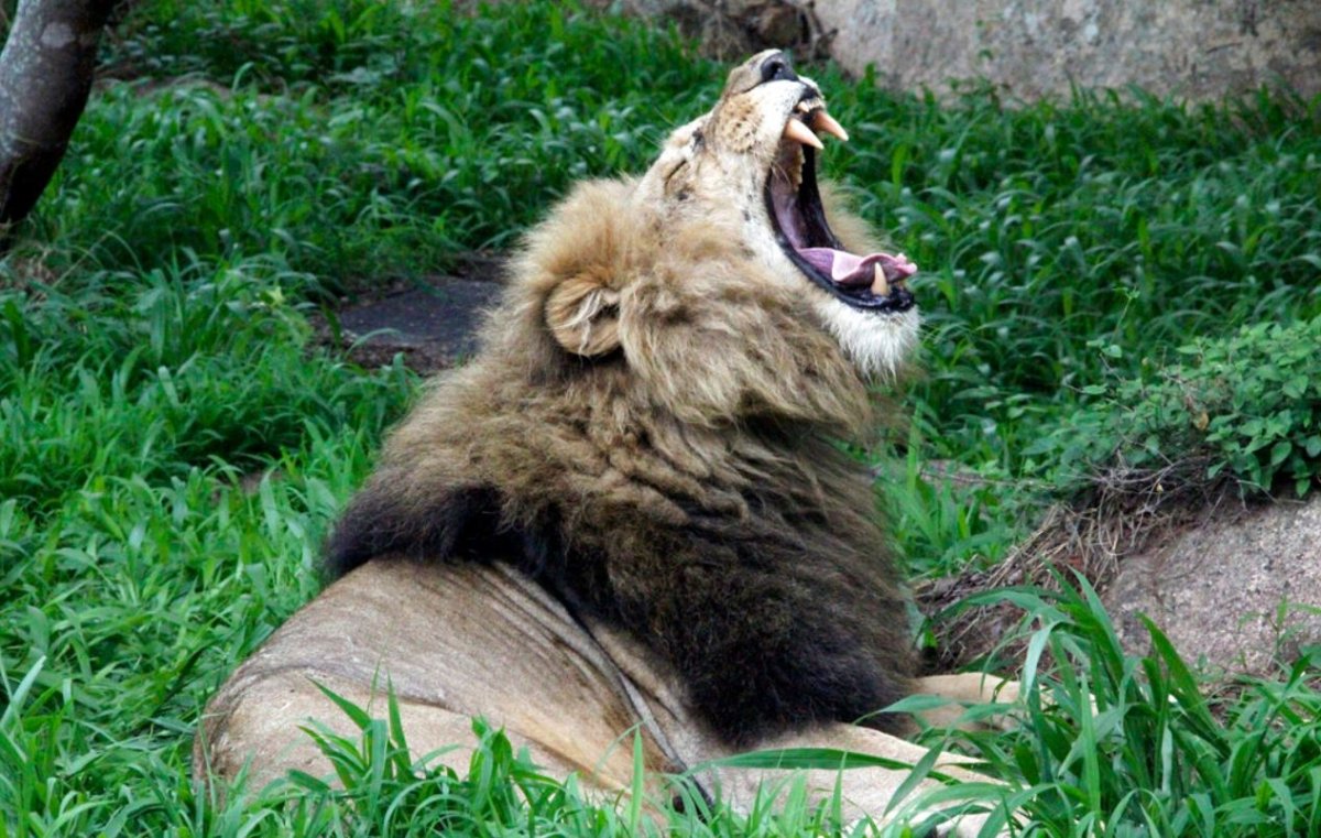 Олег Зубков