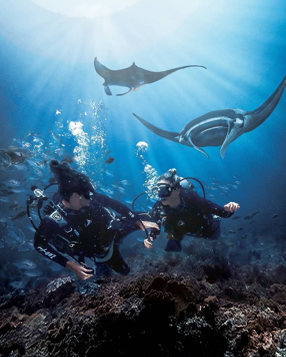 Морской дьявол из скатов 5 букв