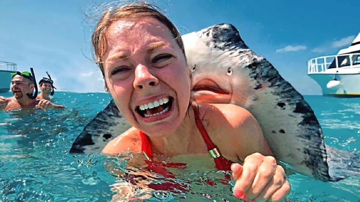 Розовый Скат Манта