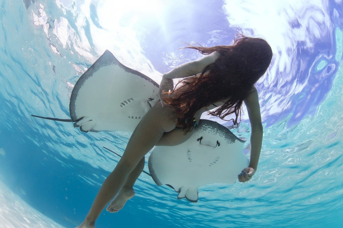 Рава Рэй Королева скатов