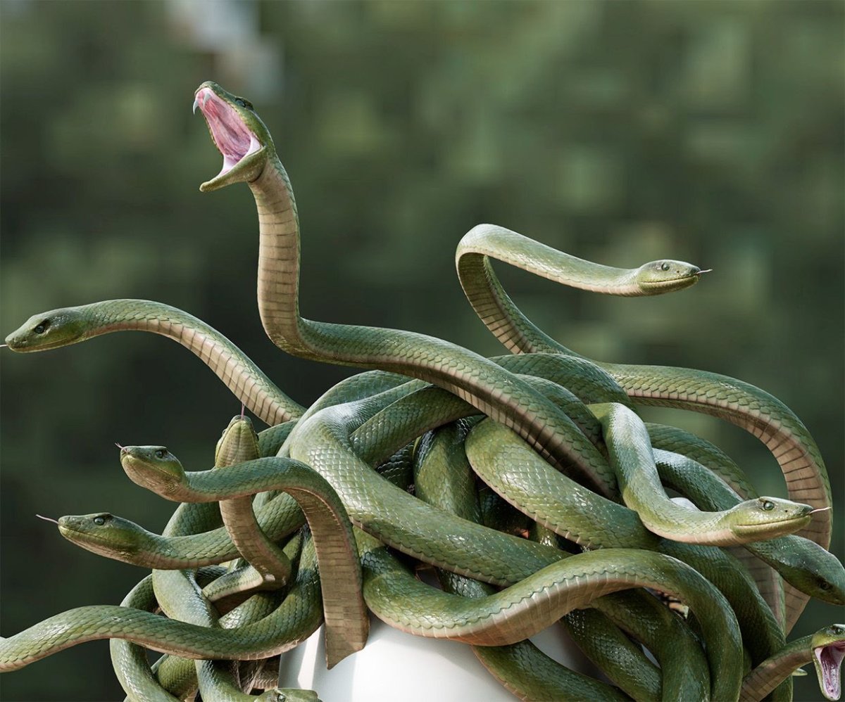 Карадагский морской змей