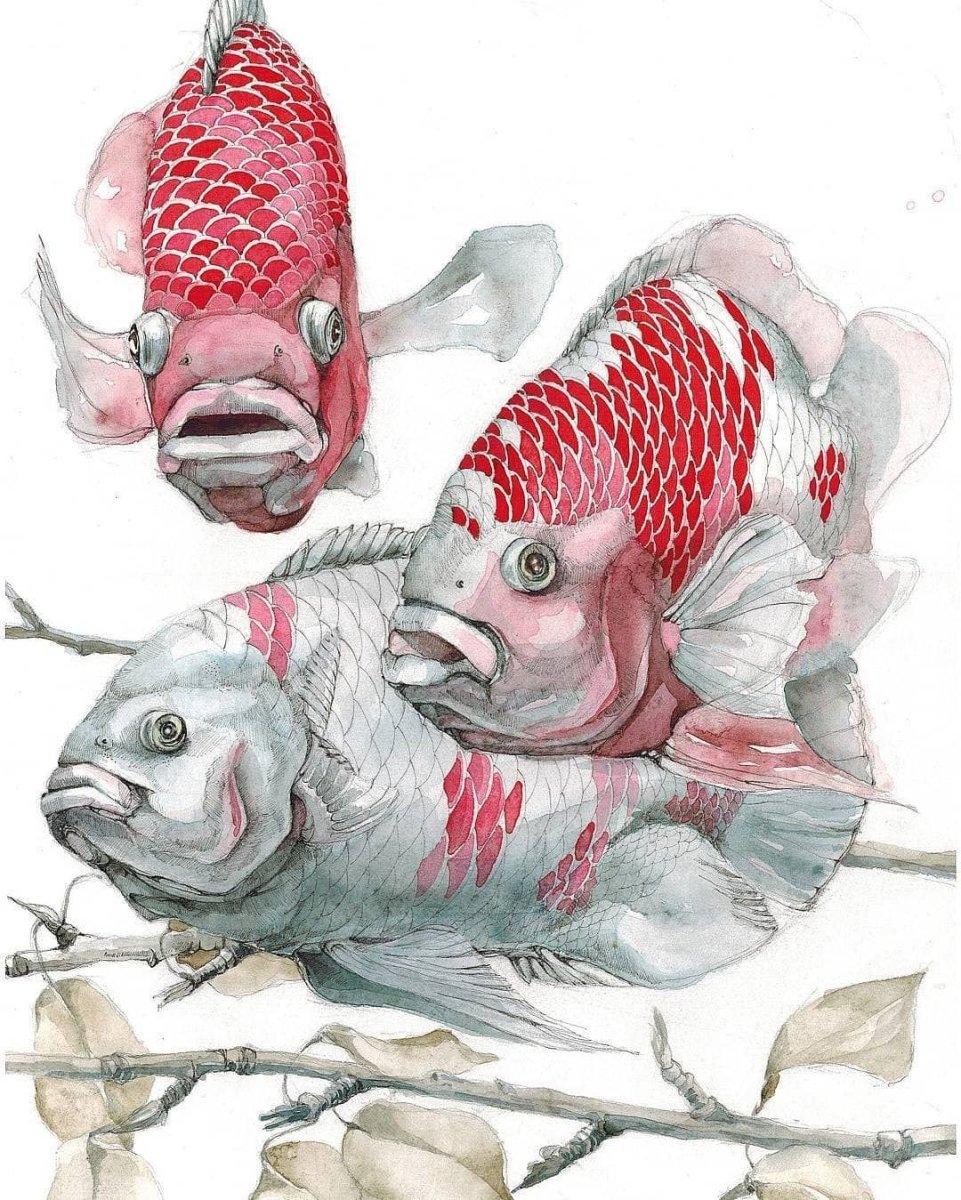 Маленькая рыбка фугу