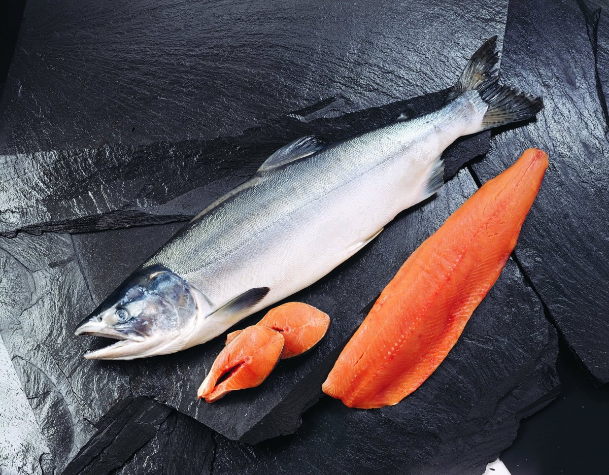 Дикий Камчатский лосось