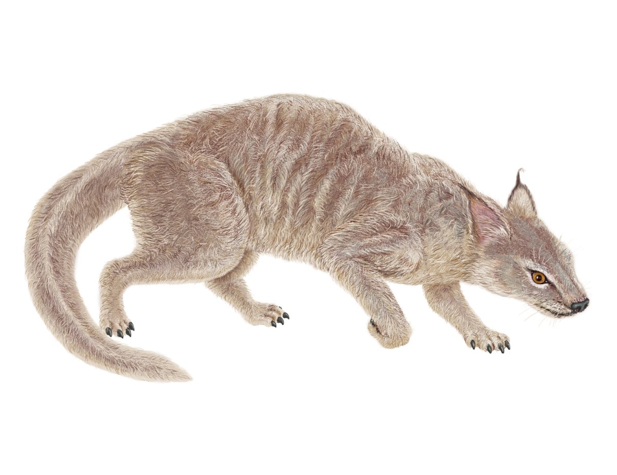 Лавразийская мегафауна