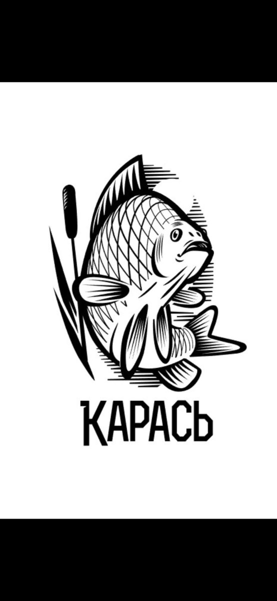 Карась в магазине