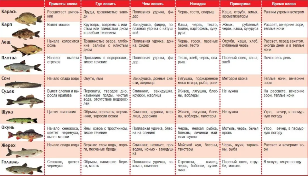 Лунный рыбацкий календарь на 2022 год