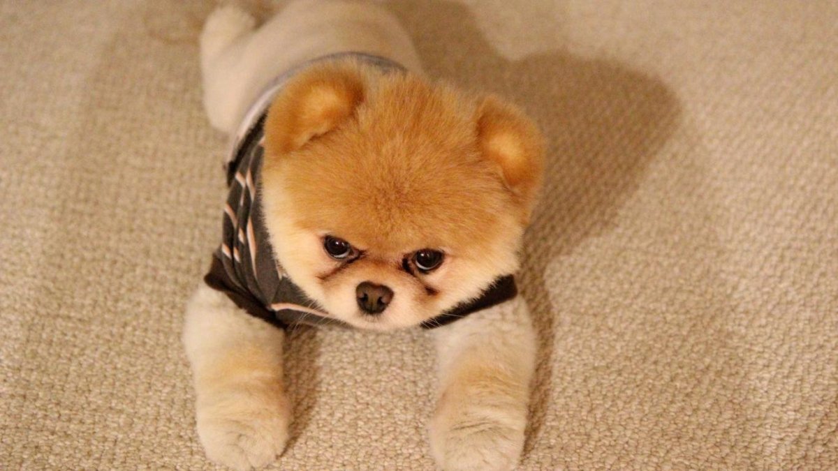 Мимимишные игрушки