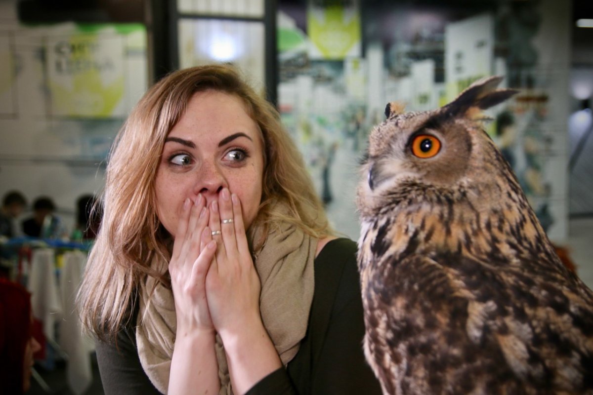 Сова с космическими глазами