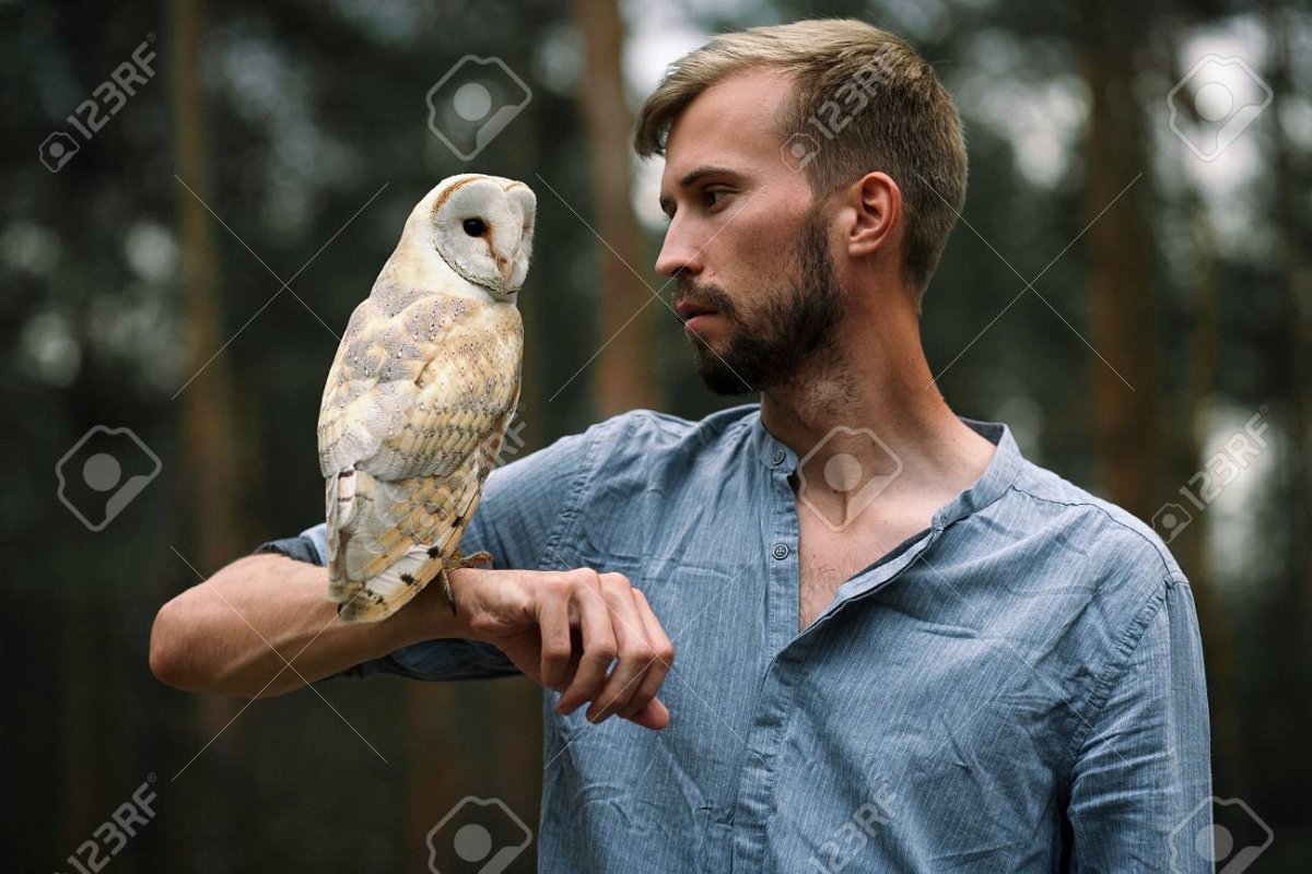 Сова сидит на руке у человека
