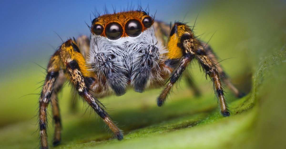 Thomas Shahan фотограф