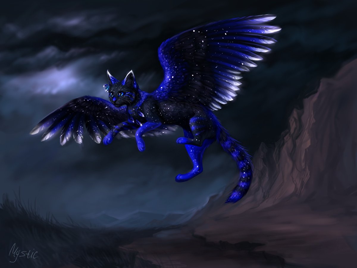 Ли Хуа кошка