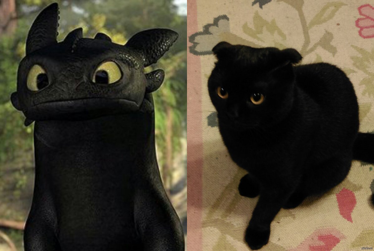 Wood Splitter Lee волки