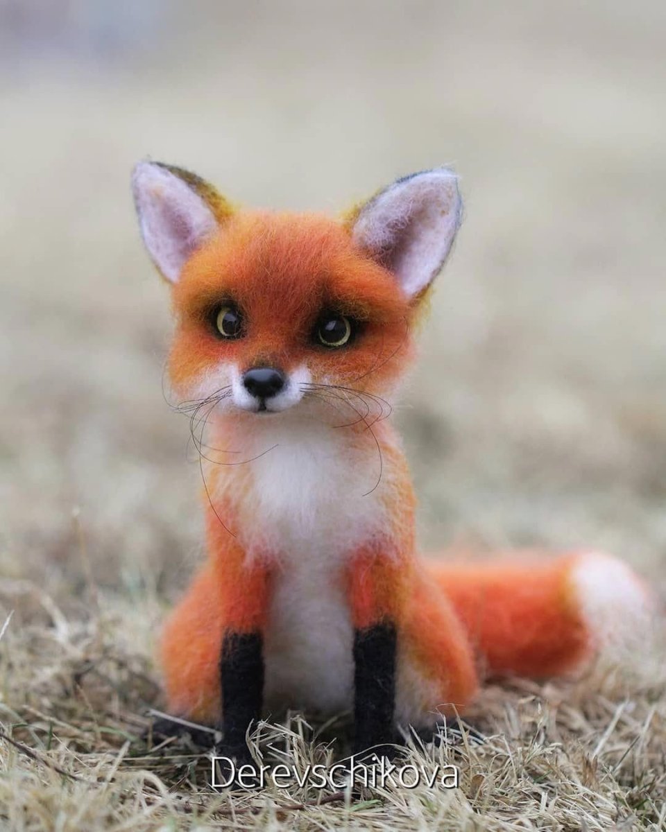 Маленький Лисенок