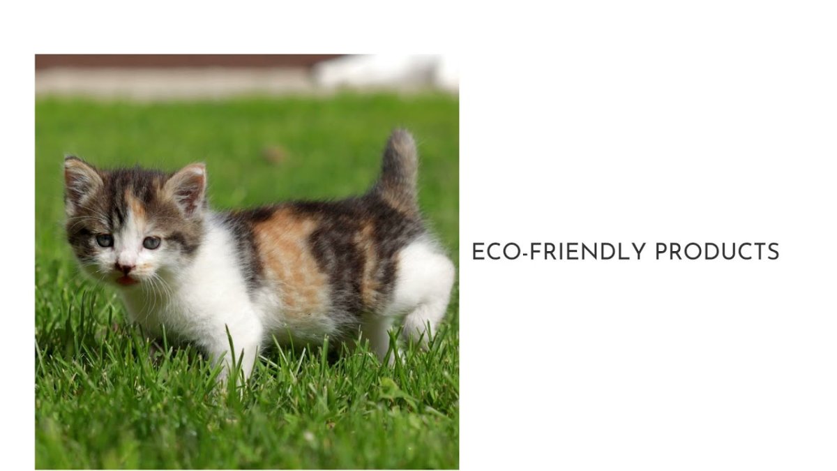 Кошка дворняжка трехцветная