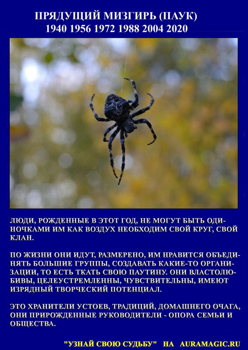 Славянский гороскоп по годам