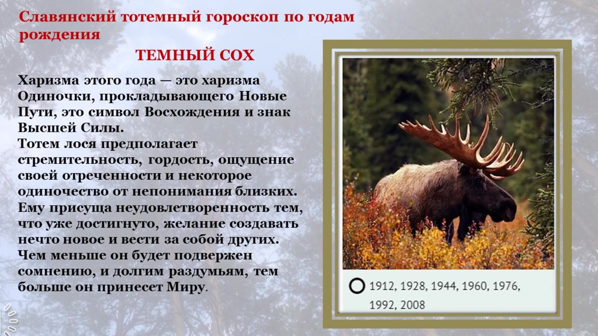 Паук крестовик Каракурт белый