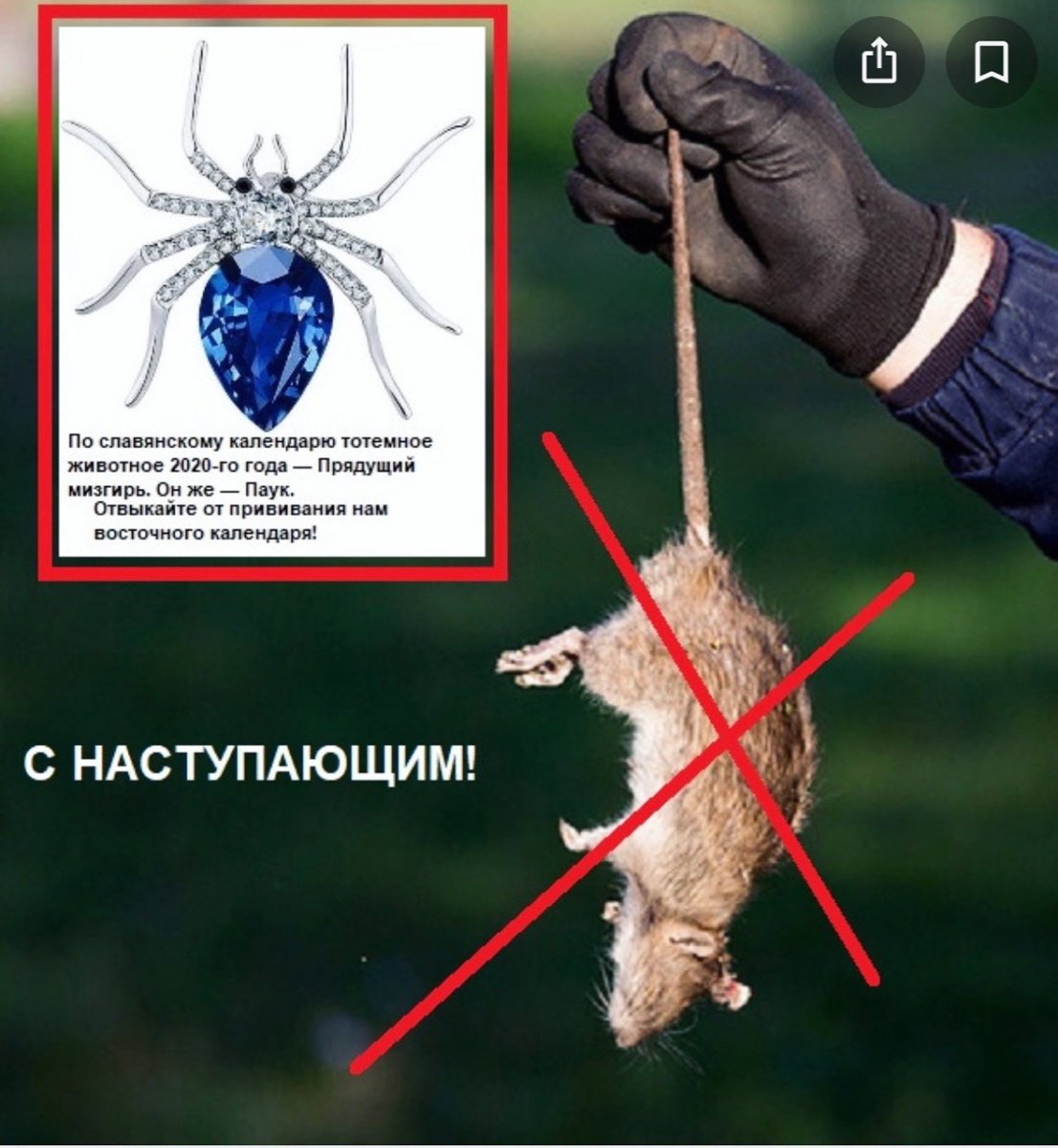 Год паука по славянскому календарю