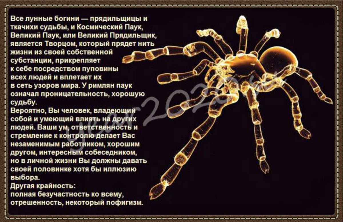 Прядущий Мизгирь Тотем