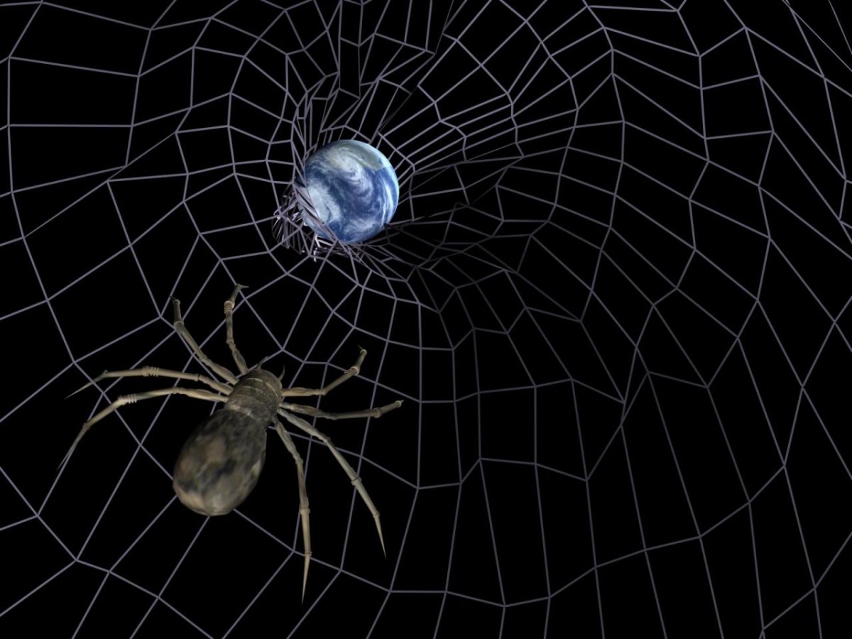 Южнорусский Тарантул Мизгирь