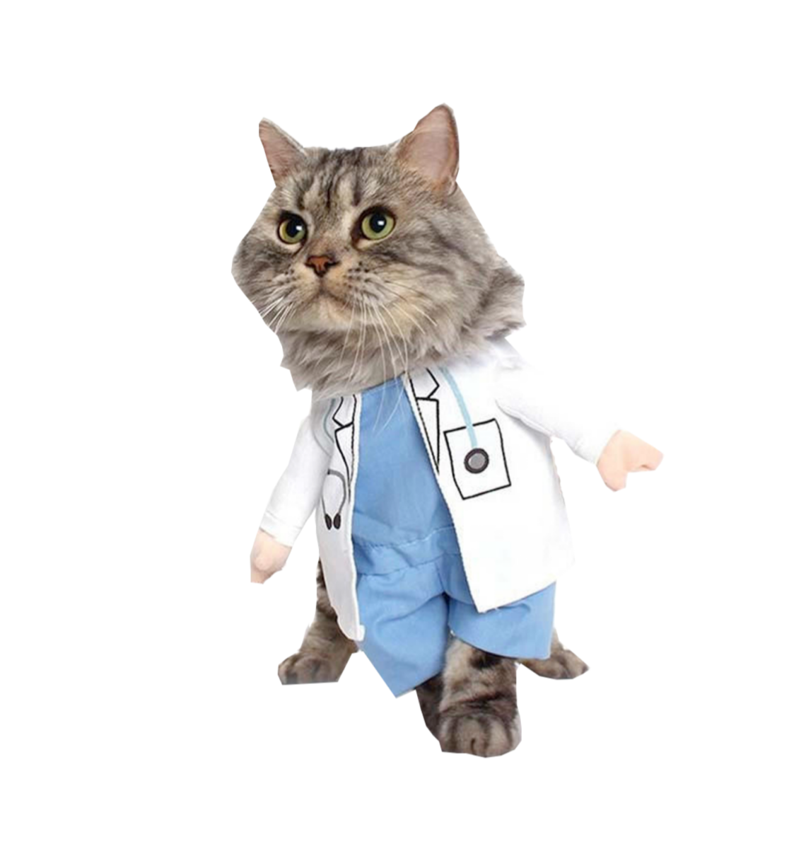 Кот в медицинском халате