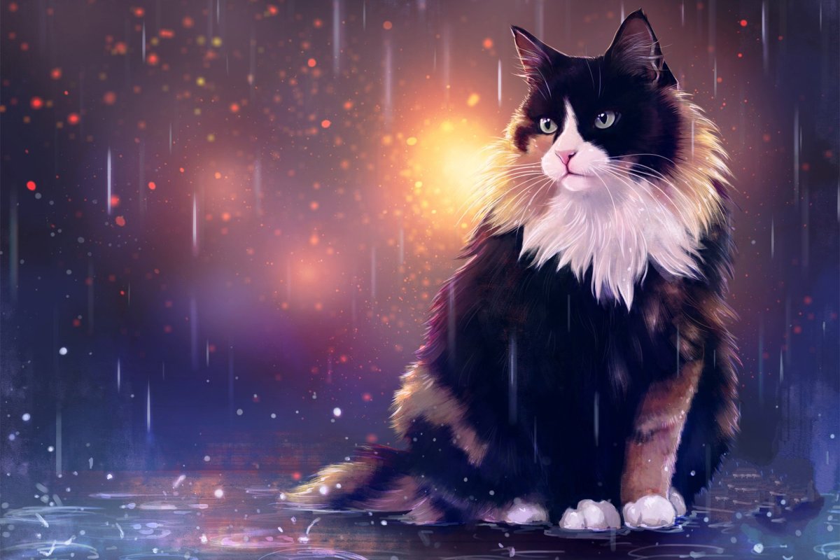 Котенок арт