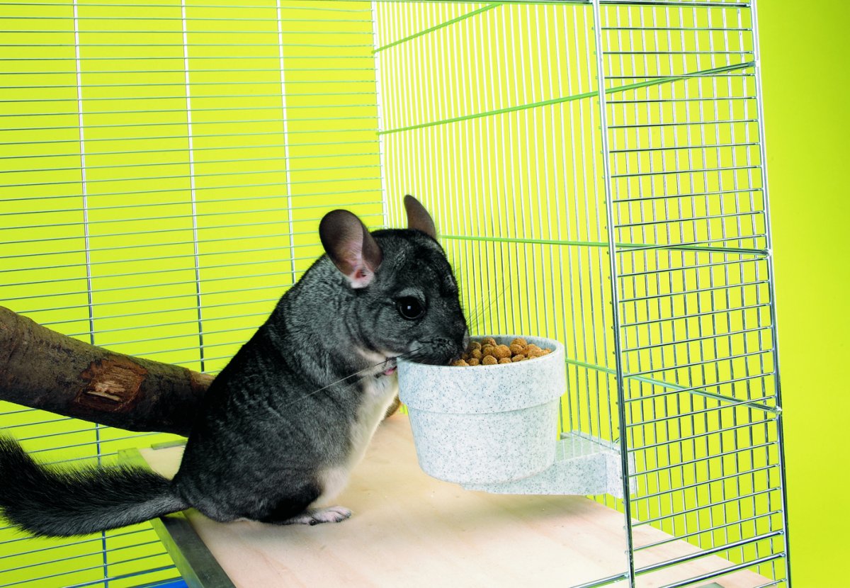 Миска Savic Crock Medium для грызунов, 300 мл