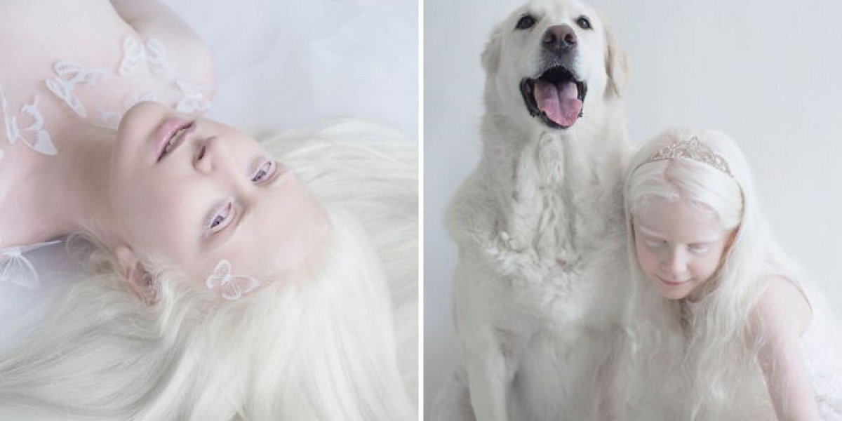 Доберман-пинчер альбинос