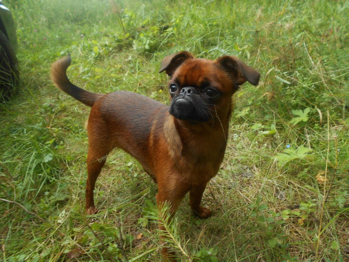 Брабансон Екатеринбург Русакова