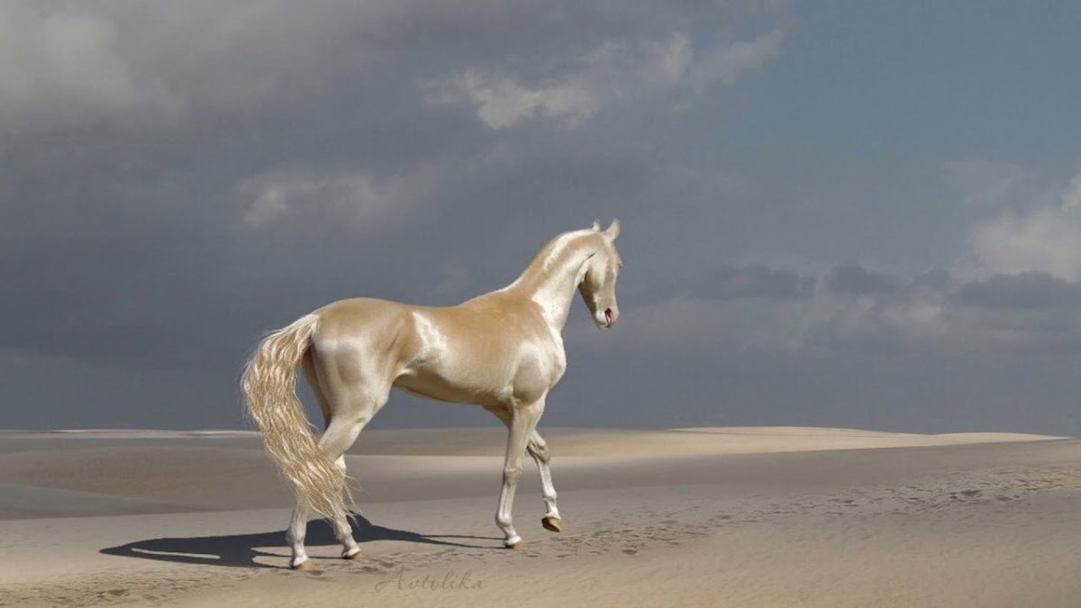 Ахалтекинская лошадь белая с гривой