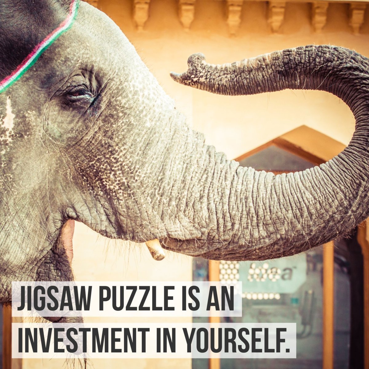 Индийские слоны с поднятыми хоботами