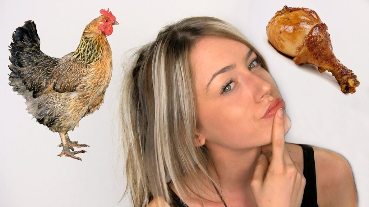 Мохнатая Курочка