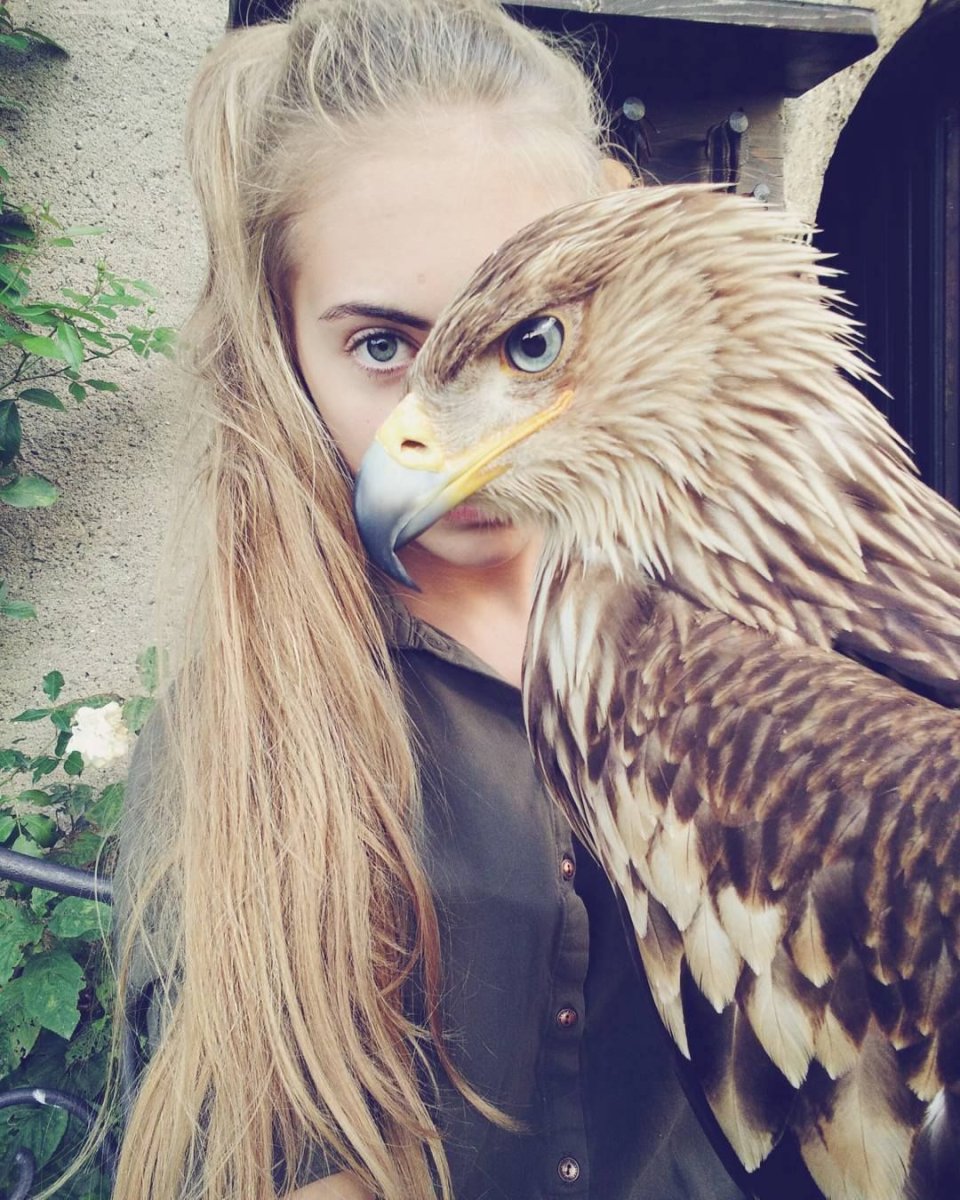 Куры кросс коралл