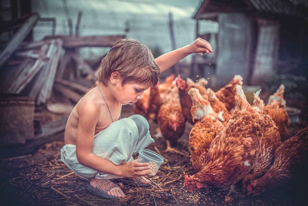 Курица в пальто