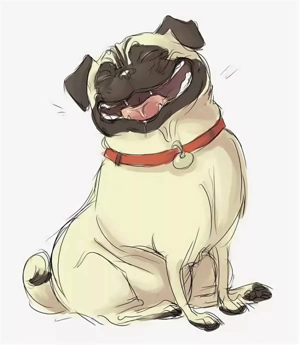 Собака Пинтерест