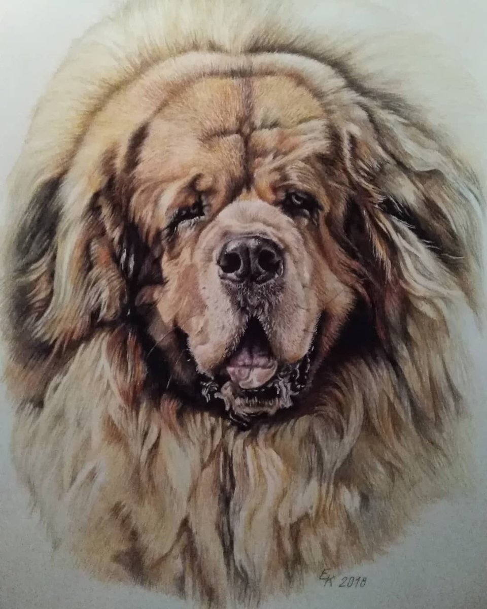 Тибетский сторожевой пес