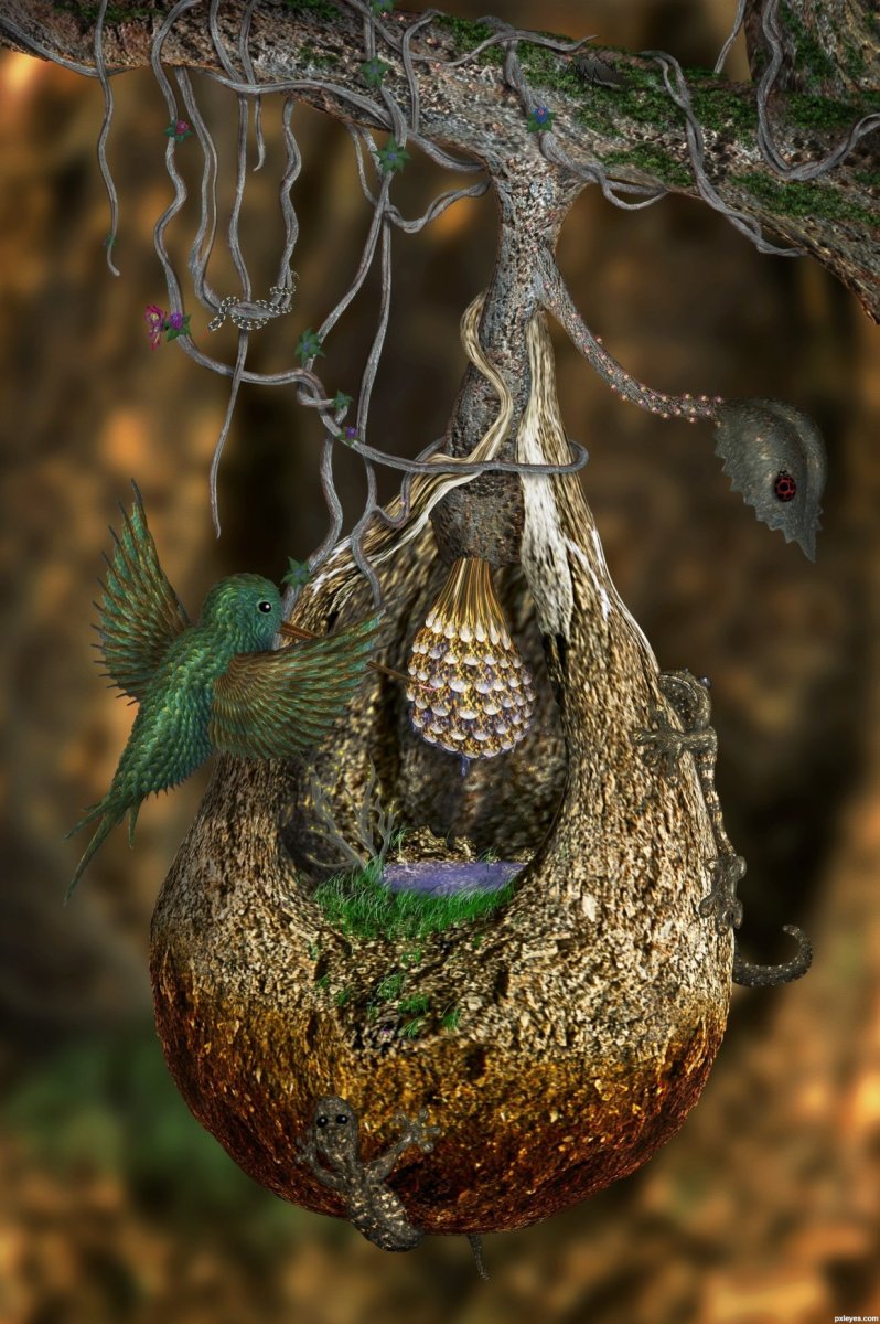 Голубой шалашник