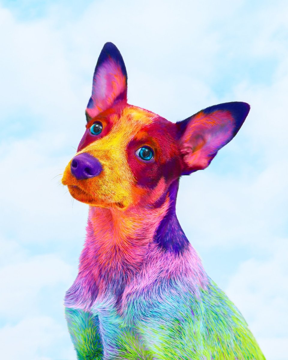 Радужные собачки