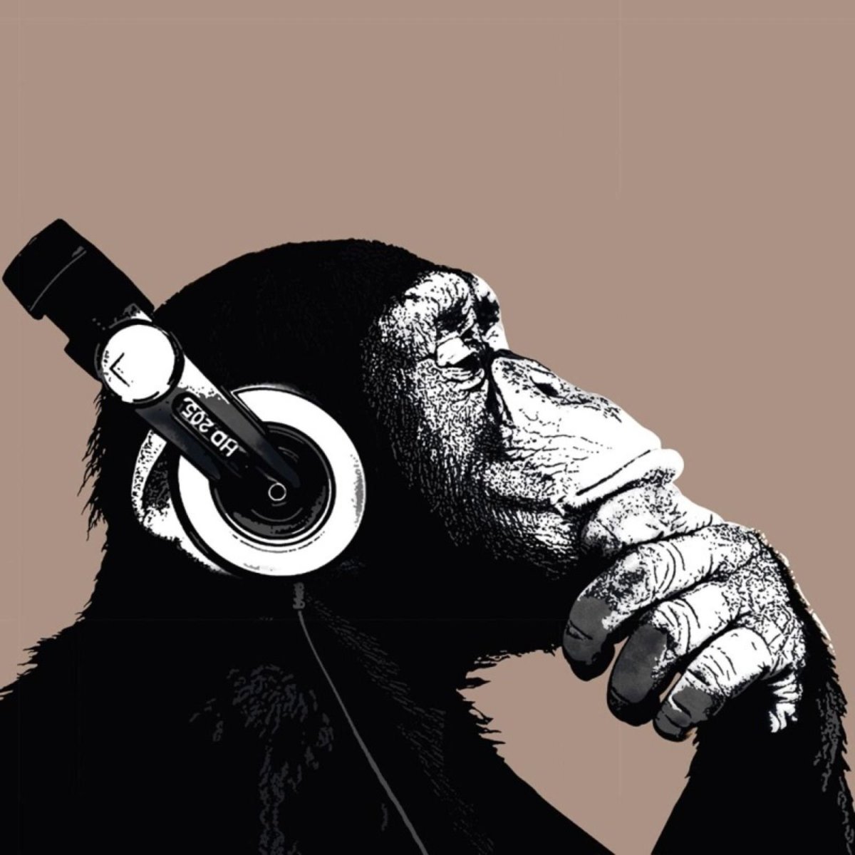 Обезьяна с факом