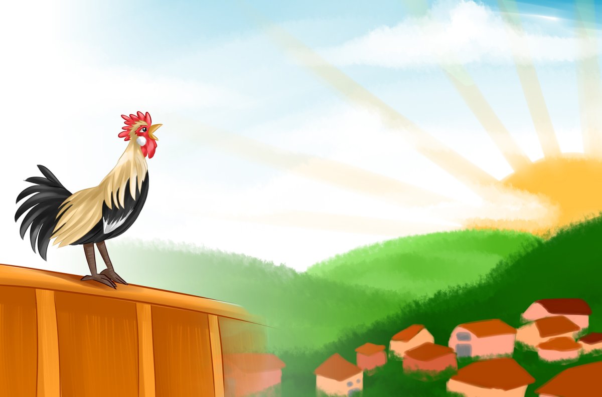 Петух на заборе вектор