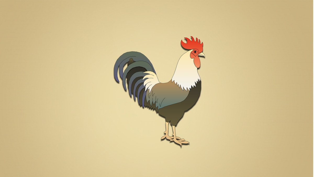 Фон петух