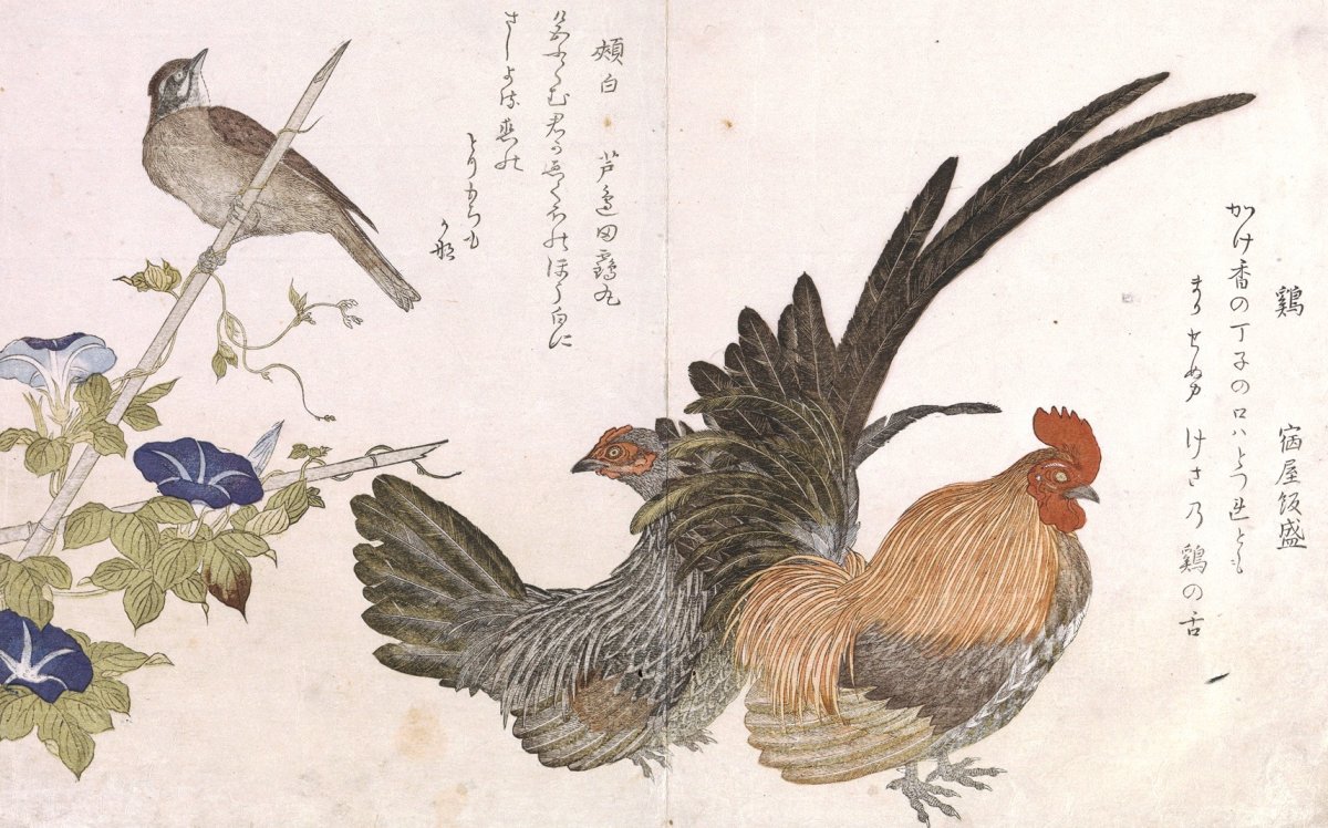 Японские Гравюры укиё-э птица